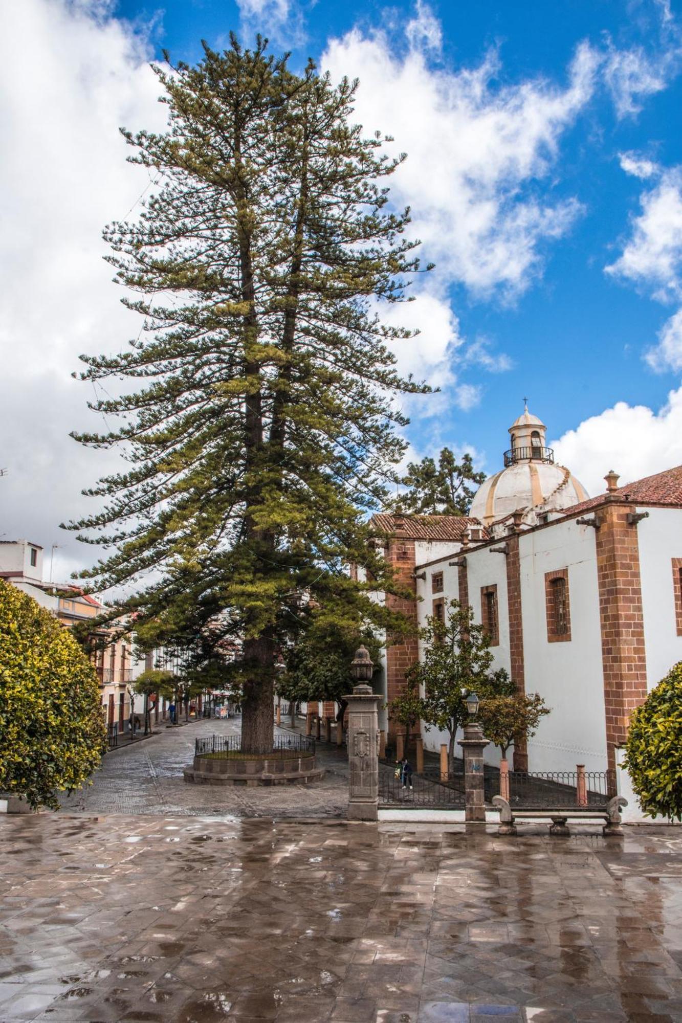 Ferienhaus Florymar Ingenio